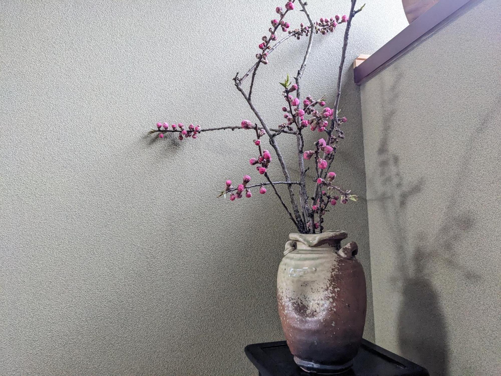 Farm Stay Inn Sanzaemon-Tei 母屋guesthouse Shiga-Takasima Traditional Japanese Architecture House Exterior foto